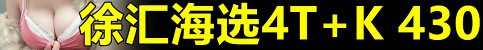 11.2 【上海】徐汇海选4T+k 活动价430 出勤15+海选 QQ：786514046